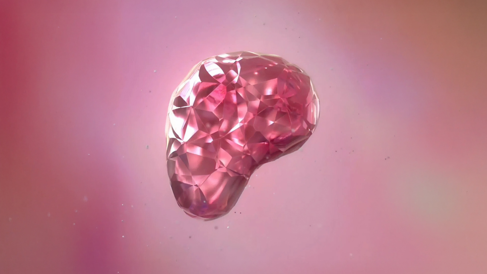 Patreon Creator Tools